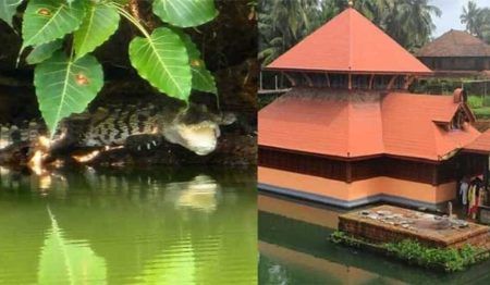 ಮಂಗಳೂರು: ಅನಂತಪುರದ ಮೊಸಳೆಗೆ ಬಬಿಯಾ ನಾಮಕರಣ