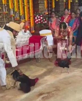 ಉಡುಪಿ: ಮದುವೆ ಹಾಲ್ ನಲ್ಲಿ ಕೋಳಿ ಅಂಕ- ವಿಡಿಯೋ ವೈರಲ್