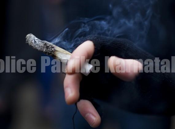 ಗಾಂಜಾ ಸೇವನೆ ಪ್ರಕರಣ: ಮೂವರು ವಶಕ್ಕೆ..!