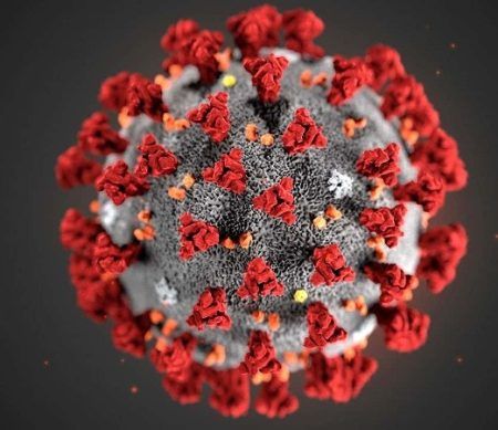 ದ.ಕ.ಜಿಲ್ಲೆಯಲ್ಲಿ ಕೊರೊನಾ ಸೋಂಕಿಗೆ ಮತ್ತೊಂದು ಬಲಿ