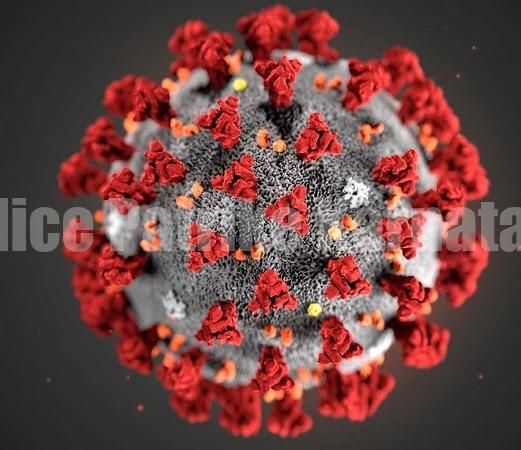 ದ.ಕ.ಜಿಲ್ಲೆಯಲ್ಲಿ ಕೊರೊನಾ ಸೋಂಕಿಗೆ ಮತ್ತೊಂದು ಬಲಿ