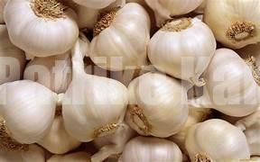 ಟೊಮ್ಯಾಟೋ ಬೆನ್ನಲ್ಲೇ ಬೆಳ್ಳುಳ್ಳಿ ಬೆಲೆ ಏರಿಕೆ !