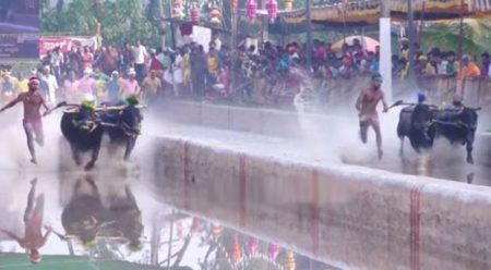 ಮಂಗಳೂರು: 23 ಗಂಟೆಯಲ್ಲಿ ಮುಗಿದು ದಾಖಲೆ ನಿರ್ಮಿಸಿದ ವಾಮಂಜೂರು ಕಂಬಳ