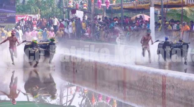 ಮಂಗಳೂರು: 23 ಗಂಟೆಯಲ್ಲಿ ಮುಗಿದು ದಾಖಲೆ ನಿರ್ಮಿಸಿದ ವಾಮಂಜೂರು ಕಂಬಳ