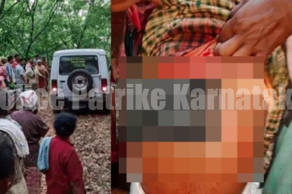 ಸುಳ್ಯ: ರಬ್ಬರ್ ಟ್ಯಾಪಿಂಗ್ಗೆ ತೆರಳಿದ್ದ ಮಹಿಳೆಯ ಮೇಲೆ ಕಾಡುಹಂದಿ ದಾಳಿ ..!