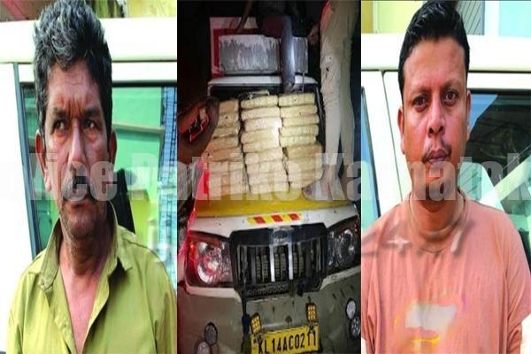 ಕಾಸರಗೋಡು: ಪಿಕಪ್ ವ್ಯಾನ್ನಲ್ಲಿ ಒಂದು ಕ್ವಿಂಟಾಲ್ ಗಾಂಜಾ ಸಾಗಾಟ – ಇಬ್ಬರ ಬಂಧನ