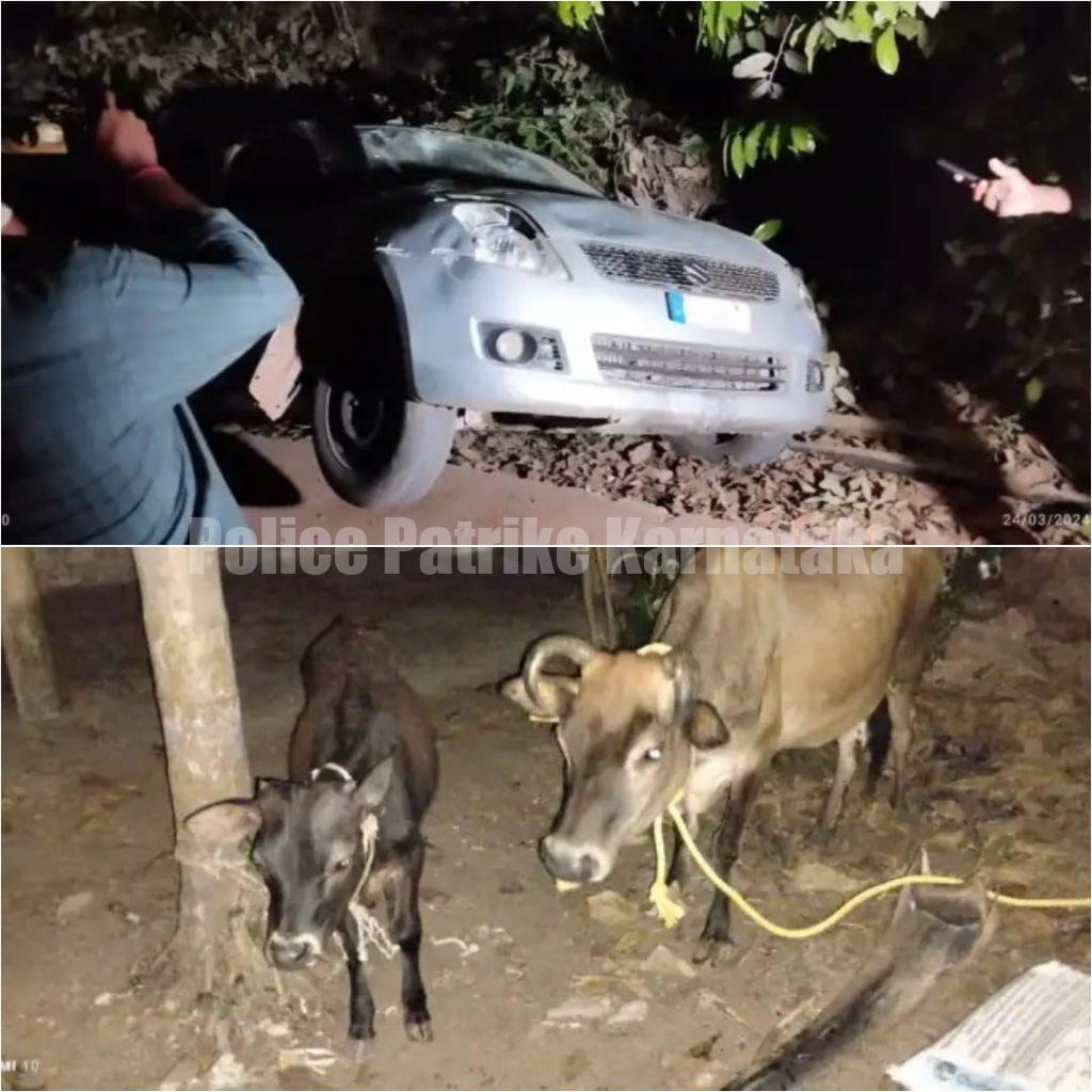 ಪುತ್ತೂರು: ಅಕ್ರಮ ಗೋ ಸಾಗಾಟ, ಬಜರಂಗದಳ ಕಾರ್ಯಕರ್ತರನ್ನು ಕಂಡು ಕಾರು ದನಗಳನ್ನು ಬಿಟ್ಟು ತಂಡ ಪರಾರಿ..!