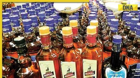 ನೀತಿ ಸಂಹಿತೆ ಉಲ್ಲಂಘನೆ; ಮಂಗಳೂರಿನಲ್ಲಿ 12 ಲೀಟರ್ ಮದ್ಯ ವಶ