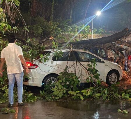 ಮಂಗಳೂರು: ಭಾರೀ ಗಾತ್ರದ ಮರದ ಕೊಂಬೆ ಬಿದ್ದು 2 ವಾಹನಗಳು ಜಖಂ..!