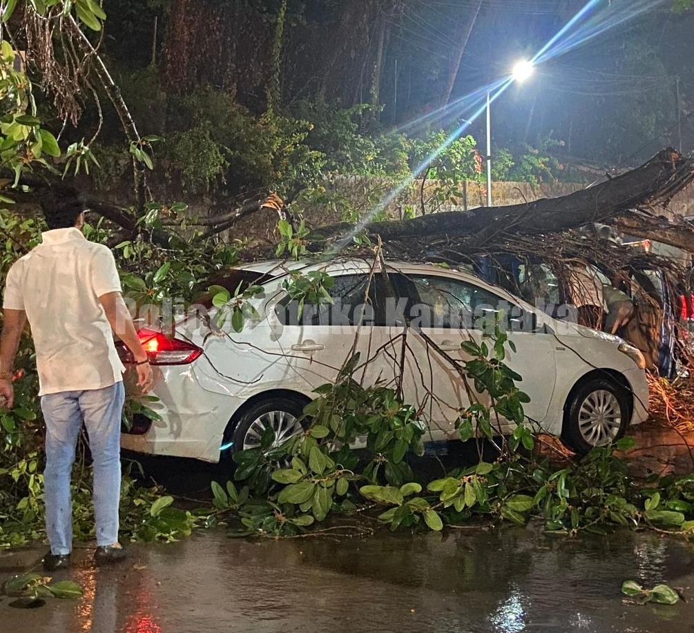 ಮಂಗಳೂರು: ಭಾರೀ ಗಾತ್ರದ ಮರದ ಕೊಂಬೆ ಬಿದ್ದು 2 ವಾಹನಗಳು ಜಖಂ..!