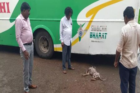 ಉಡುಪಿ: ಹುಚ್ಚು ನಾಯಿ 8 ಮಂದಿಗೆ ಕಚ್ಚಿ ಗಾಯ..!