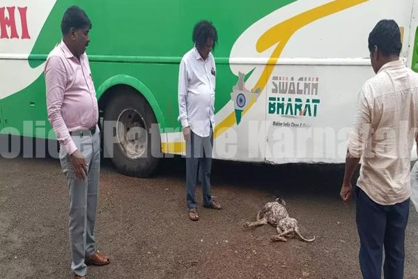 ಉಡುಪಿ: ಹುಚ್ಚು ನಾಯಿ 8 ಮಂದಿಗೆ ಕಚ್ಚಿ ಗಾಯ..!