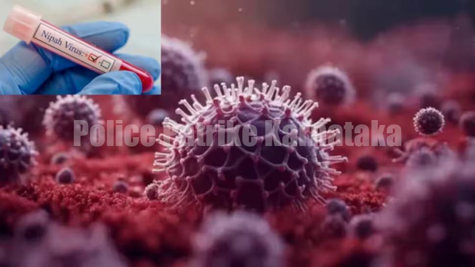 ಕೇರಳ : ಬಾಲಕನಲ್ಲಿ ನಿಫಾ ವೈರಸ್ ಪತ್ತೆ, ಸಂಪರ್ಕಿತರಿಗೆ ಕ್ವಾರಂಟೈನ್