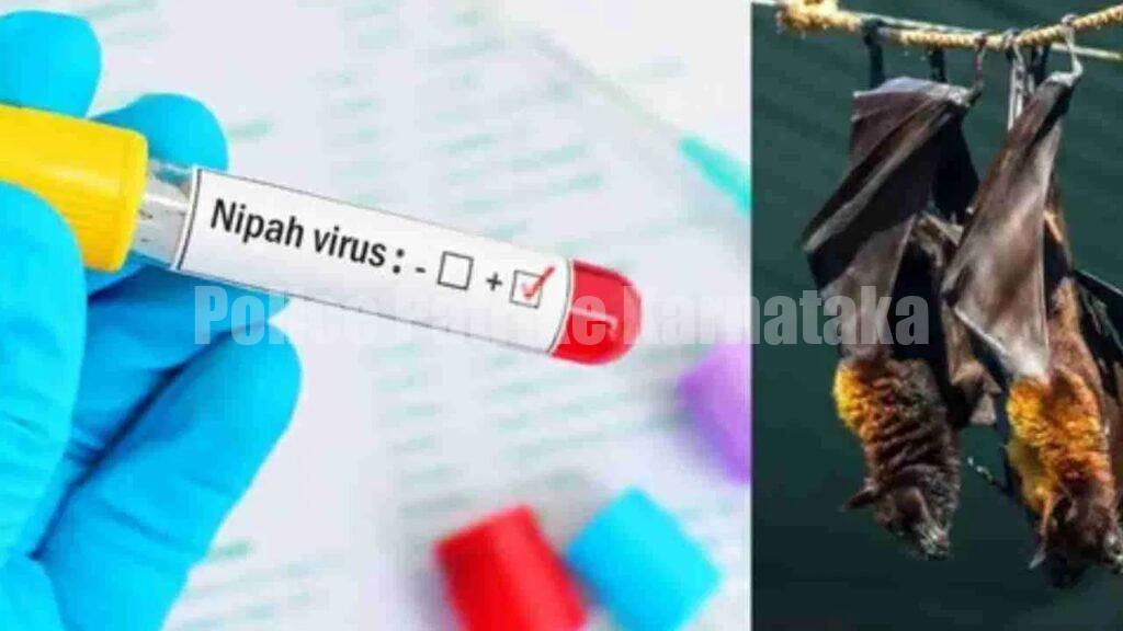 ಕೇರಳದಲ್ಲಿ ನಿಫಾ ಕೇಸ್ ಪತ್ತೆ: ದ.ಕ ಜಿಲ್ಲೆಯಲ್ಲಿ ಕಟ್ಟೆಚ್ಚರಕ್ಕೆ ಕ್ರಮ