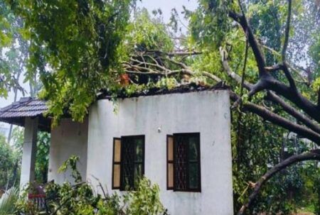 ಬಂಟ್ವಾಳ: ಭೀಕರ ಗಾಳಿಗೆ ಮನೆ ಮೇಲೆ ಬಿದ್ದ ಬೃಹತ್ ಗಾತ್ರದ ಮರ..!