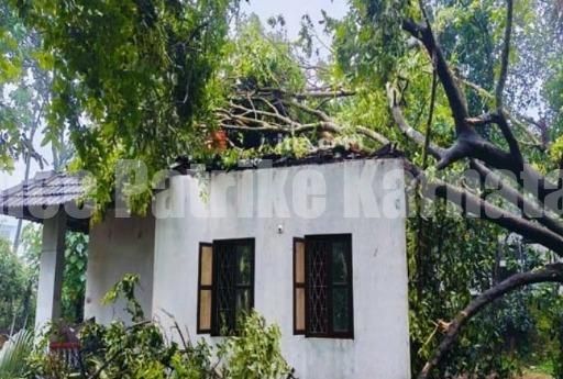 ಬಂಟ್ವಾಳ: ಭೀಕರ ಗಾಳಿಗೆ ಮನೆ ಮೇಲೆ ಬಿದ್ದ ಬೃಹತ್ ಗಾತ್ರದ ಮರ..!