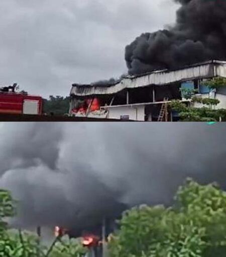 ಮಂಗಳೂರು: ಶಾರ್ಟ್ ಸರ್ಕ್ಯೂಟ್ ನಿಂದ ಹೊತ್ತಿ ಉರಿದ ‘ಫಿಶ್ ಮಿಲ್’ : ಲಕ್ಷಾಂತರ ವಸ್ತುಗಳು ಬೆಂಕಿಗಾಹುತಿ