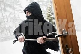 ವಿಟ್ಲ: ಸಾಲೆತ್ತೂರು ಮನೆಯಲ್ಲಿ ಚಿನ್ನಾಭರಣ ಕಳವು; ಶ್ವಾನ ನಿಗೂಢ ನಾಪತ್ತೆ