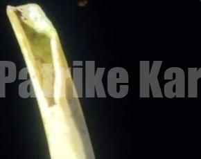 ಶಿರೂರು ಗುಡ್ಡ ಕುಸಿತ; ಮೂರನೇ ಹಂತದ ಕಾರ್ಯಾಚರಣೆ ವೇಳೆ ಸಿಕ್ಕಿತು ಮೂಳೆ..!