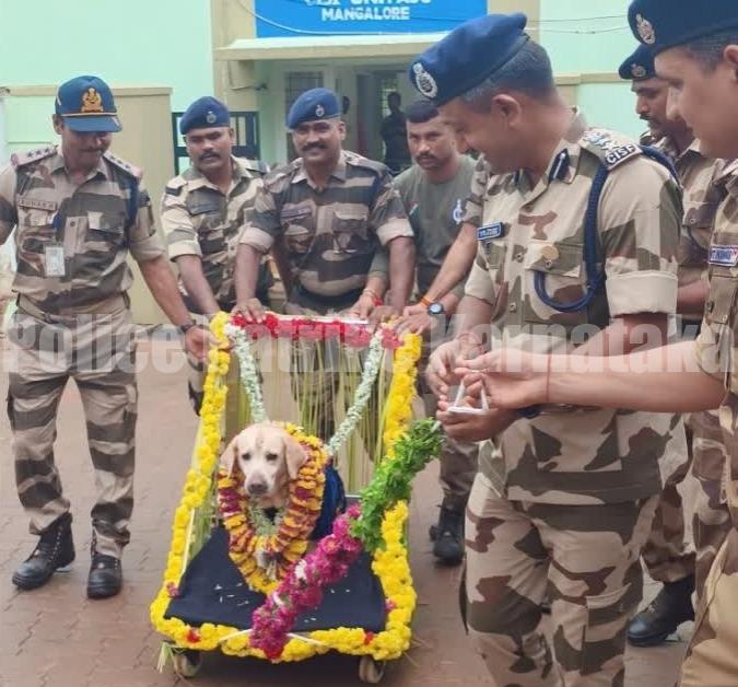 ಮಂಗಳೂರು: ವಿಮಾನ ನಿಲ್ದಾಣದಲ್ಲಿ ಭದ್ರತೆಯಲ್ಲಿದ್ದ ಜೂಲಿ ನಿವೃತ್ತಿ – ಹೊಸ ಶ್ವಾನ ರಿಯೋ ಆಗಮನ