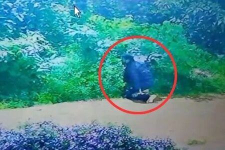 ಉಪ್ಪಿನಂಗಡಿ: ತಡರಾತ್ರಿಯಲ್ಲಿ ಯುವಕನ ಕುಕೃತ್ಯ: ಸಿಸಿ ಕೆಮರಾದಲ್ಲಿ ದಾಖಲು