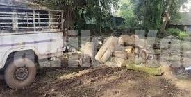 ಮಂಗಳೂರು: ಮರದ ದಿಮ್ಮಿ ಅಕ್ರಮ ಸಾಗಾಟದ ಆರೋಪ-ಜಾಲವನ್ನು ಪತ್ತೆ ಹಚ್ಚಿದ ಒಕ್ಕೂಟದ ಕಾರ್ಯಕರ್ತರು