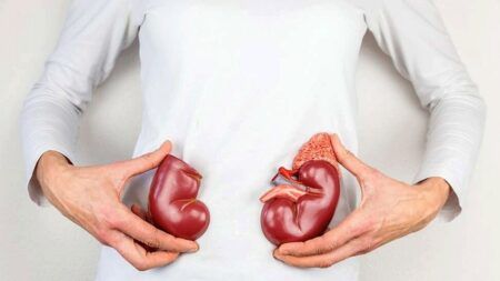 ನಿಮ್ಮ ದೇಹದಲ್ಲಿ ಈ ‘ಸಂಕೇತ’ಗಳು ಕಾಣಿಸ್ತಿವ್ಯಾ.? ಹಾಗಿದ್ರೆ, ನಿಮ್ಮ ‘ಕಿಡ್ನಿ’ಯಲ್ಲಿ ಕಲ್ಲು ಇದ್ದಂತೆ ಲೆಕ್ಕ