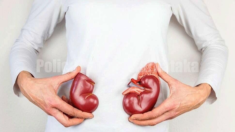 ನಿಮ್ಮ ದೇಹದಲ್ಲಿ ಈ ‘ಸಂಕೇತ’ಗಳು ಕಾಣಿಸ್ತಿವ್ಯಾ.? ಹಾಗಿದ್ರೆ, ನಿಮ್ಮ ‘ಕಿಡ್ನಿ’ಯಲ್ಲಿ ಕಲ್ಲು ಇದ್ದಂತೆ ಲೆಕ್ಕ