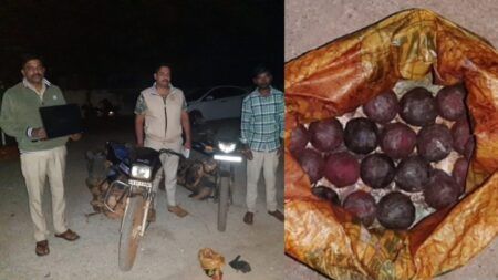 ಅರಣ್ಯ ಪ್ರದೇಶದಲ್ಲಿ 32 ನಾಡಬಾಂಬ್ ಪತ್ತೆ..!