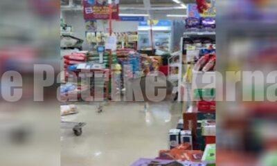 ಕಾಸರಗೋಡು: ಸೂಪರ್ ಮಾರ್ಕೆಟ್ಗೆ ನುಗ್ಗಿದ ಕಾಡುಹಂದಿ – ಗಲಿಬಿಲಿಗೊಂಡ ಸಿಬ್ಬಂದಿಗಳು