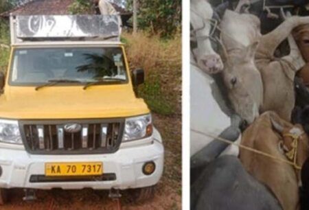ಅಕ್ರಮ ದನ ಸಾಗಾಟ ಲಾರಿಯನ್ನು ತಡೆ ಹಿಡಿದ ಪೊಲೀಸರು- ವಾಹನ ವಶಕ್ಕೆ