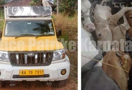 ಅಕ್ರಮ ದನ ಸಾಗಾಟ ಲಾರಿಯನ್ನು ತಡೆ ಹಿಡಿದ ಪೊಲೀಸರು- ವಾಹನ ವಶಕ್ಕೆ