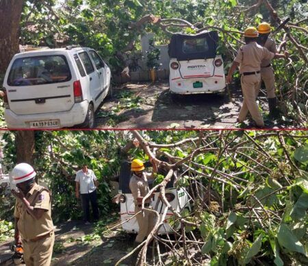 ಮಂಗಳೂರಿನ ಬಲ್ಮಠ ಬಳಿ ಬೃಹತ್ ಗಾತ್ರದ ಮರ ಉರುಳಿ ವಾಹನಗಳಿಗೆ ಹಾನಿ