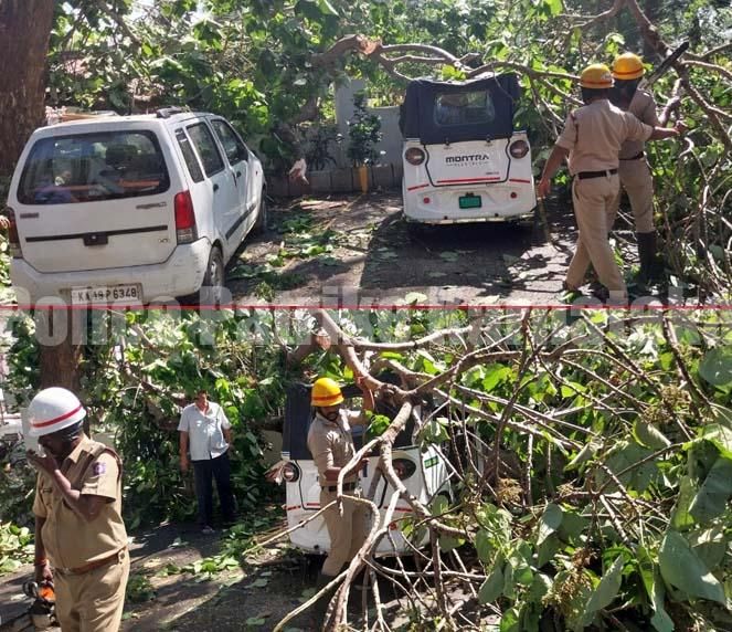 ಮಂಗಳೂರಿನ ಬಲ್ಮಠ ಬಳಿ ಬೃಹತ್ ಗಾತ್ರದ ಮರ ಉರುಳಿ ವಾಹನಗಳಿಗೆ ಹಾನಿ