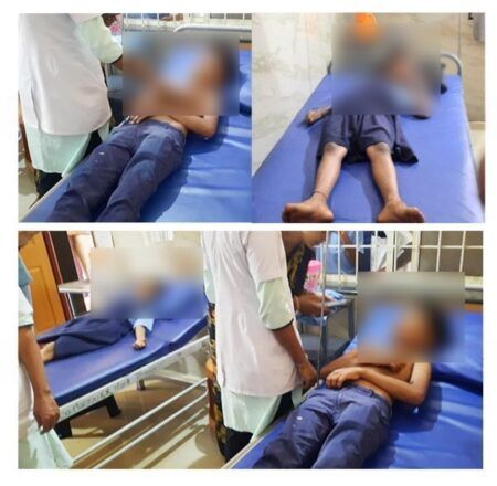 ಬೆಳ್ತಂಗಡಿ: ಸರಕಾರಿ ಶಾಲೆ ಮಕ್ಕಳ ಮೇಲೆ ಹೆಜ್ಜೇನು ದಾಳಿ