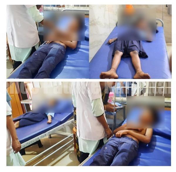 ಬೆಳ್ತಂಗಡಿ: ಸರಕಾರಿ ಶಾಲೆ ಮಕ್ಕಳ ಮೇಲೆ ಹೆಜ್ಜೇನು ದಾಳಿ