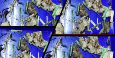 ಮಂಗಳೂರು: ಬ್ಯಾಂಕ್ ಲಾಕರ್ನಲ್ಲಿಟ್ಟ 8 ಲಕ್ಷ ಹಣವನ್ನು ತಿಂದ ಗೆದ್ದಲು ಹುಳಗಳು..!