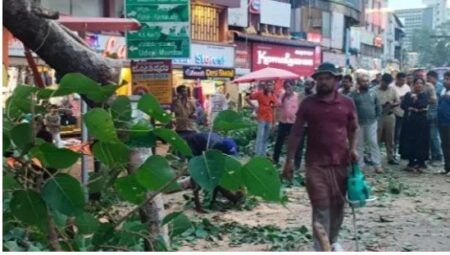 ಮಂಗಳೂರು: ಮರದ ಕೊಂಬೆ ಮುರಿದು ಬಿದ್ದು ಮೂವರು ವಿದ್ಯಾರ್ಥಿನಿಯರಿಗೆ ಗಾಯ