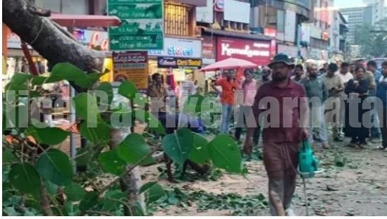 ಮಂಗಳೂರು: ಮರದ ಕೊಂಬೆ ಮುರಿದು ಬಿದ್ದು ಮೂವರು ವಿದ್ಯಾರ್ಥಿನಿಯರಿಗೆ ಗಾಯ