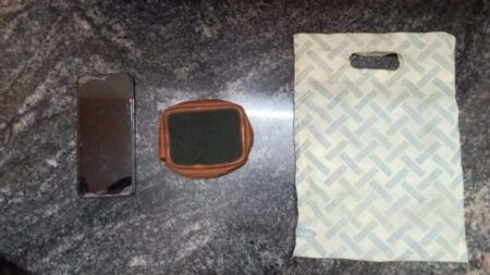 ಉಡುಪಿ: ಮಹಿಳೆಯ ಮೊಬೈಲ್ ಮತ್ತು ಪರ್ಸ್ ಎಗರಿಸಿದ ಆರೋಪಿ ಬಂಧನ