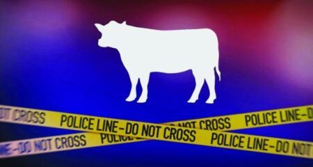 ಬಜಪೆ: ಹಿಂಸಾತ್ಮಾಕವಾಗಿ ಆಕ್ರಮ ದನಸಾಗಾಟ – ತಲೆಮರೆಸಿಕೊಂಡಿದ್ದ ನಾಲ್ವರ ಬಂಧನ