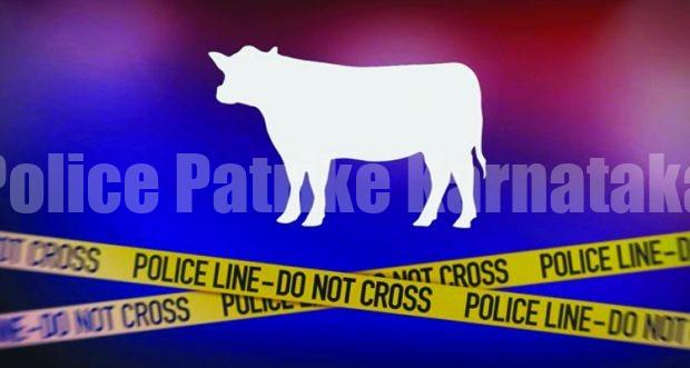 ಮಂಗಳೂರು: ಅಕ್ರಮ ಗೋಸಾಗಾಟ- ಯುವಕರು ಅರೆಸ್ಟ್