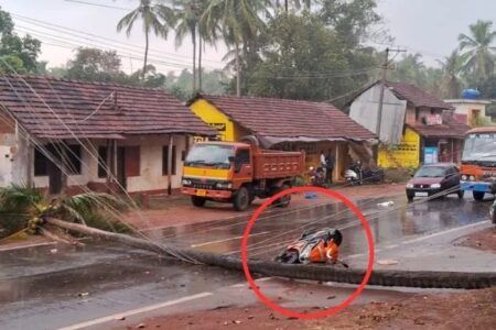 ಗಾಳಿ ಸಹಿತ ಮಳೆ: ರಸ್ತೆಗೆ ಬಿದ್ದ ತೆಂಗಿನ ಮರ -ರಸ್ತೆಗೆ ತೆಂಗಿನ ಮರ ಬಿದ್ದು ಕೂದಲೆಳೆ ಅಂತರದಲ್ಲಿ ಪಾರಾದ ಸ್ಕೂಟರ್ ಸವಾರ