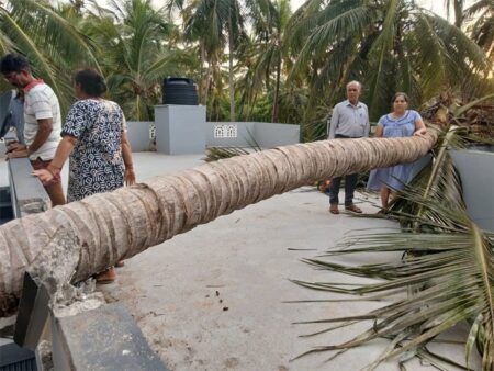 ಸುಂಟರಗಾಳಿಗೆ ಬೆಚ್ಚಿಬಿದ್ದ ಜನ: ಧರೆಗುರುಳಿದ ಮರಗಳು ಅಪಾರ ಹಾನಿ..!!