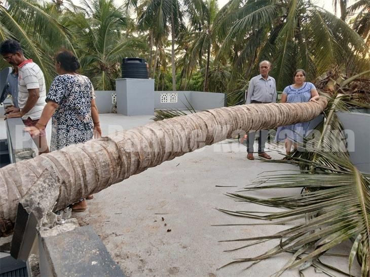 ಸುಂಟರಗಾಳಿಗೆ ಬೆಚ್ಚಿಬಿದ್ದ ಜನ: ಧರೆಗುರುಳಿದ ಮರಗಳು ಅಪಾರ ಹಾನಿ..!!