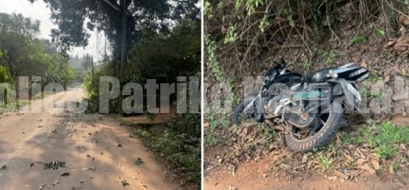 ಪುತ್ತೂರು: ಚಲಿಸುತ್ತಿದ್ದ ಬೈಕ್ ಮೇಲೆ ಮರದ ಗೆಲ್ಲು ಬಿದ್ದು ಗಾಯ..!!