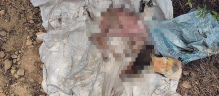 ಗರ್ಭಿಣಿ ಹಸವನ್ನು ಕಡಿದು ಕರವನ್ನು ನದಿಗೆ ಬಿಸಾಡಿದ ಗೋಕಳ್ಳರು