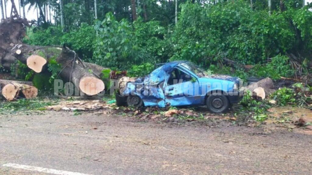 ಮಂಗಳೂರು: ರಸ್ತೆ ಬದಿ ನಿಲ್ಲಿಸಿದ್ದ ಕಾರಿನ ಮೇಲೆ ಬಿದ್ದ ಬೃಹತ್ ಮರ..! ಅದೃಷ್ಟವಶಾತ್ ನಾಲ್ವರು ಪಾರು
