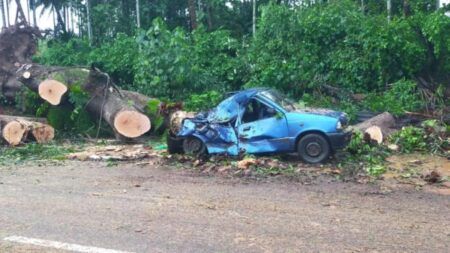 ಮಂಗಳೂರು: ರಸ್ತೆ ಬದಿ ನಿಲ್ಲಿಸಿದ್ದ ಕಾರಿನ ಮೇಲೆ ಬಿದ್ದ ಬೃಹತ್ ಮರ..! ಅದೃಷ್ಟವಶಾತ್ ನಾಲ್ವರು ಪಾರು