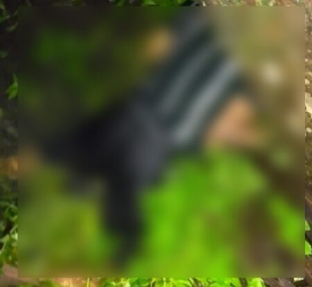 ಉಡುಪಿ : ತೋಡಿಗೆ ಬಿದ್ದು ವ್ಯಕ್ತಿ ಸಾವು..!